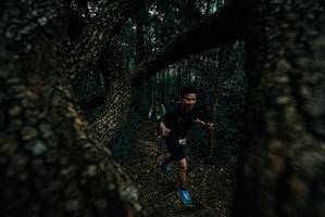 BIB: 
                            <button type="button" onclick="openModal(25688356)" class="btn btn-primary btn-sm float-right btn-popup" data-toggle="modal" data-target=".modal-high-quality">
                        <i class="fas fa-shopping-cart"></i> Add to Cart
                    </button>
                                            <button type="button" onclick="isThisMe(25688356, true)" class="btn btn-success btn-sm float-right btn-popup btn-isme hidden" data-toggle="tooltip" data-placement="bottom" title="นี่คือรูปของคุณใช่ไหม คลิกที่นี่เพื่อเอาเข้าอัลบั้ม">
                        <i class="fas fa-plus"></i> Add to album
                    </button>
                    <button type="button" onclick="isThisMe(25688356, false)" class="btn btn-warning btn-sm float-right btn-popup btn-isnotme hidden">
                        <i class="fas fa-ban"></i> Remove from album
                    </button>